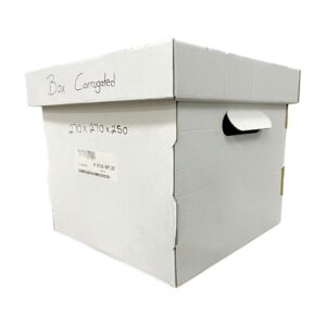 Box Corrugated 270x270x250 (1) Small
