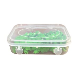Pearlfetti 60g – Green Clovers