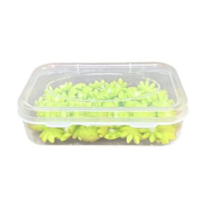 Pearlfetti 60g – Lime Pearls