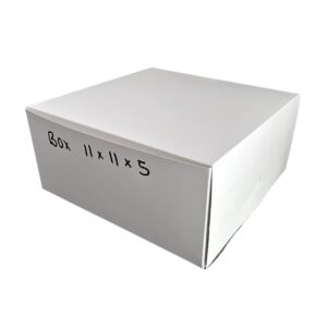Folding Box 11/11/5 (100)