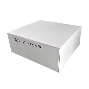 Folding Box 12/12/5 (100)