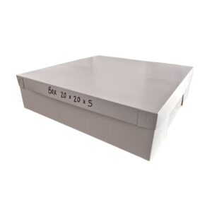 Folding Box 20/20/5 (50)