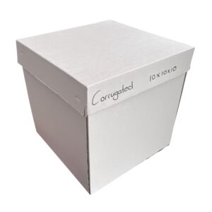 Corrugated Box 10x10x10