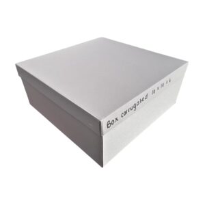 Corrugated Box And Lid 14 Inch (20)