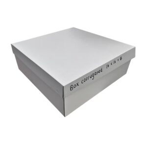 Corrugated Box And Lid 16 Inch (20)