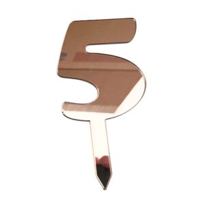 Mirror Numbers 5 Copper