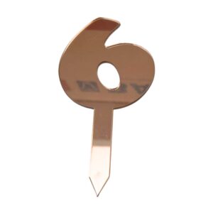 Mirror Numbers 6 Copper