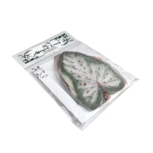 Wafer Paper Pink Tropical Leaves Large